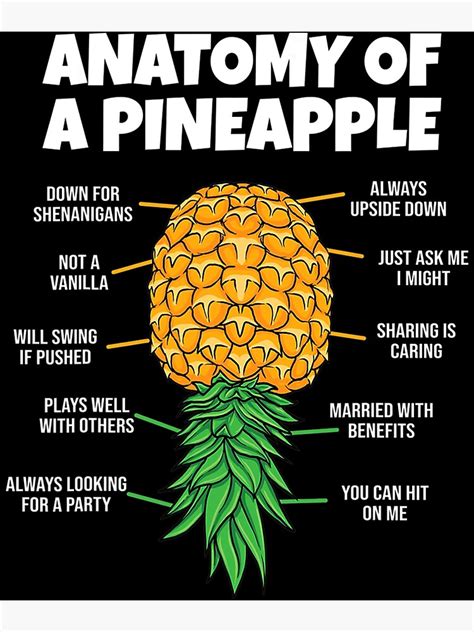 As I take my furniture out of storage wipe off the pollen and get ready to sit down with a cool cocktail, I. . Upside down pineapple meaning sexually